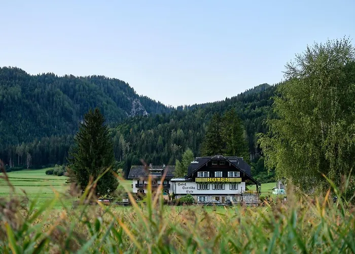 Harrida 3* וויסנסי