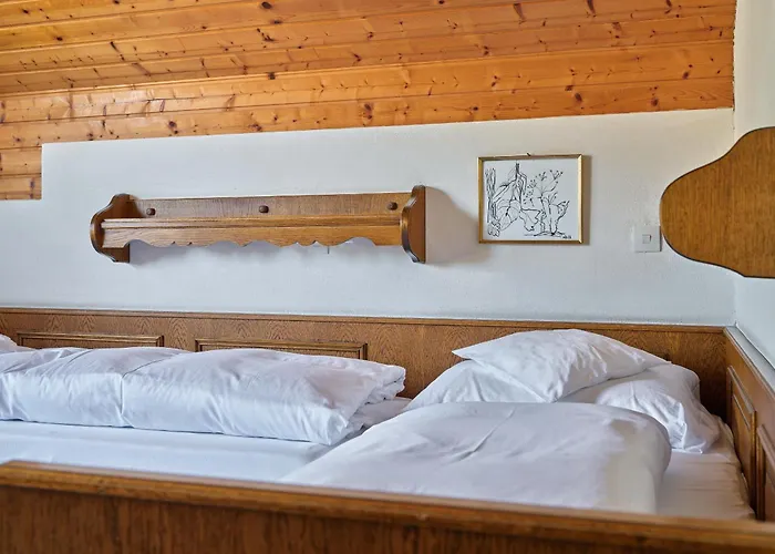 Harrida 3* וויסנסי