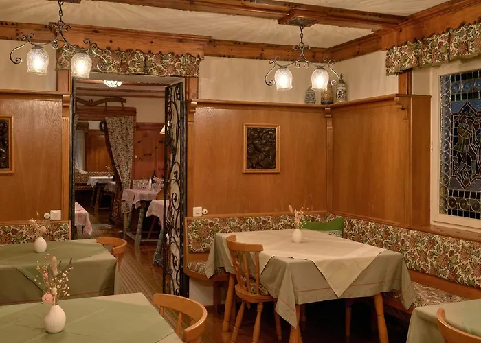 Harrida וויסנסי