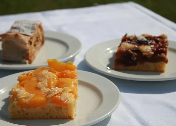 Harrida וויסנסי